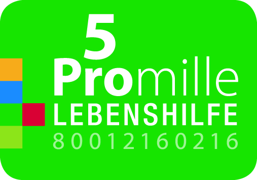 Logo Lebenshilfe "Fünf Promille"