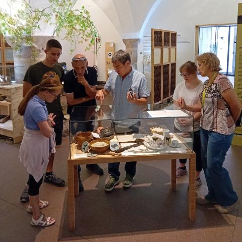 Visita al Museo