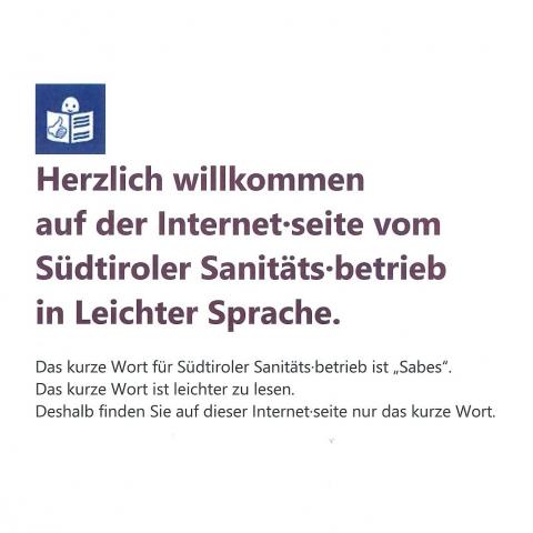 Erste Seite der Webseite in Leichter Sprache