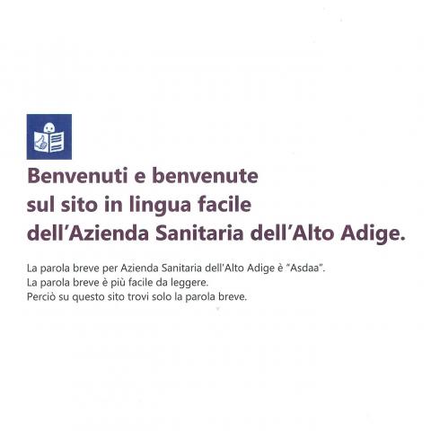Prima pagina del sito in lingua facile