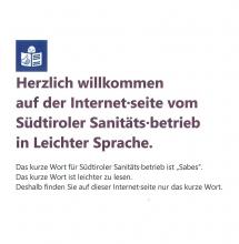 Erste Seite der Webseite in Leichter Sprache