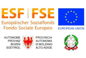 Logo FSE