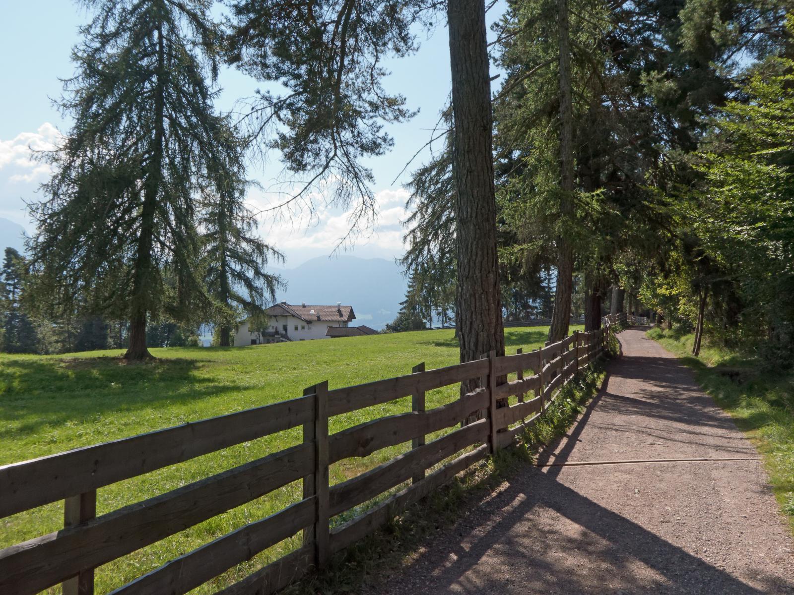 Ein Spazierweg am Rande eines Waldes